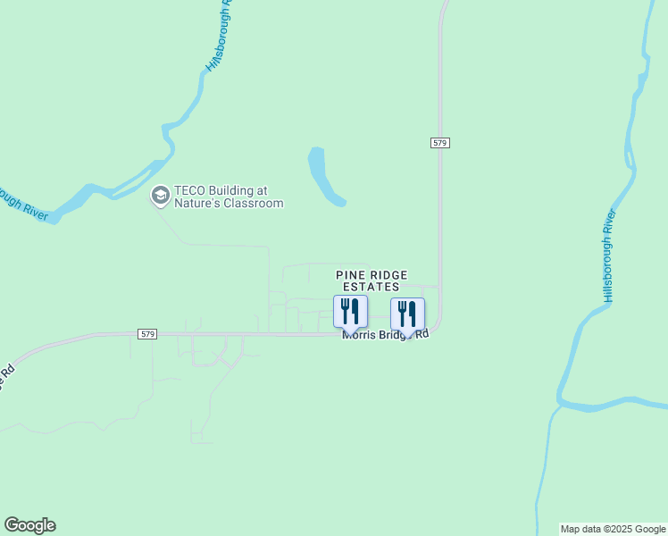 map of restaurants, bars, coffee shops, grocery stores, and more near 12818 Hawk Hill Drive in Thonotosassa