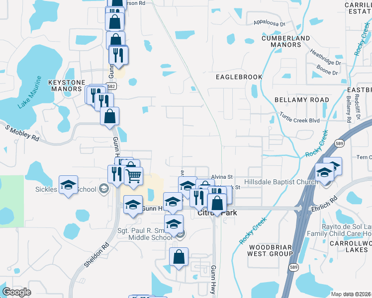 map of restaurants, bars, coffee shops, grocery stores, and more near 7700 Amherst Street in Tampa
