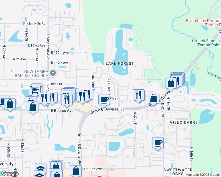 map of restaurants, bars, coffee shops, grocery stores, and more near 14715 Tall Tree Drive in Lutz