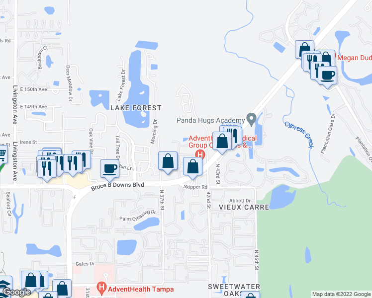 map of restaurants, bars, coffee shops, grocery stores, and more near 4023 Dream Oak Place in Tampa