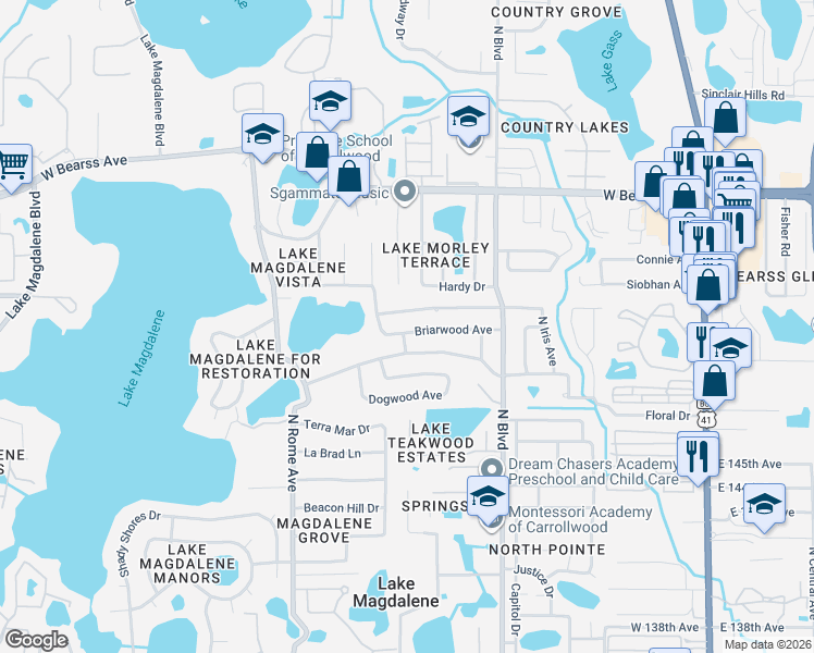 map of restaurants, bars, coffee shops, grocery stores, and more near 1102 Briarwood Avenue in Tampa