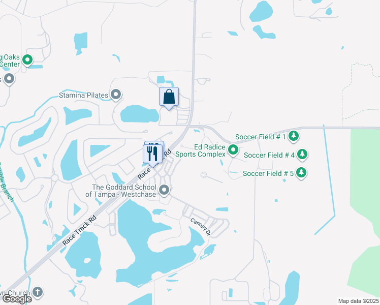 map of restaurants, bars, coffee shops, grocery stores, and more near 11214 Roseate Drive in Tampa