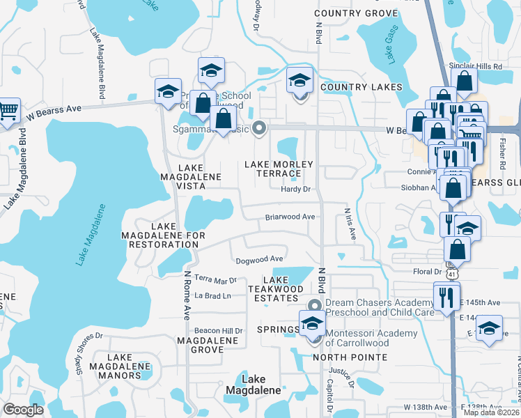 map of restaurants, bars, coffee shops, grocery stores, and more near 1102 Briarwood Avenue in Tampa