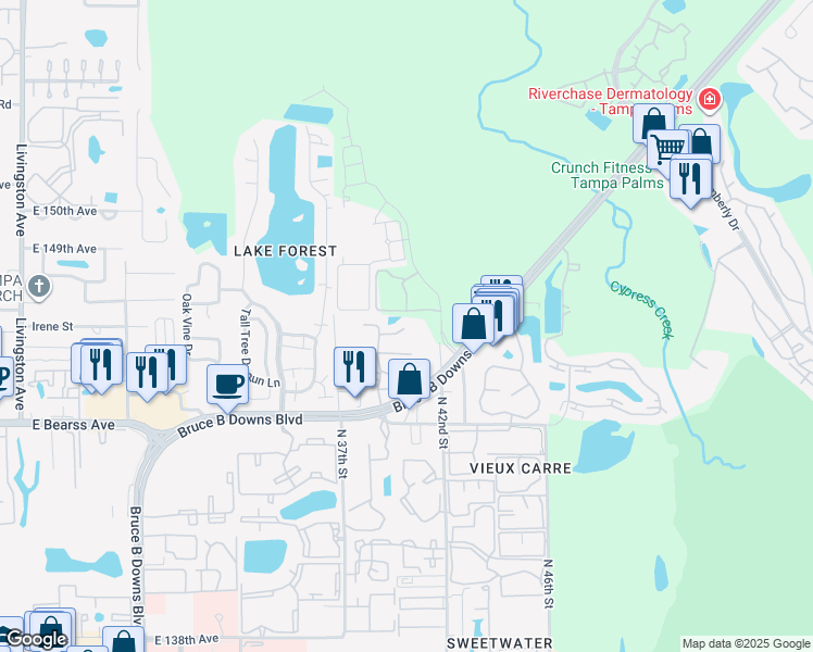 map of restaurants, bars, coffee shops, grocery stores, and more near 14733 Norwood Oaks Drive in Tampa
