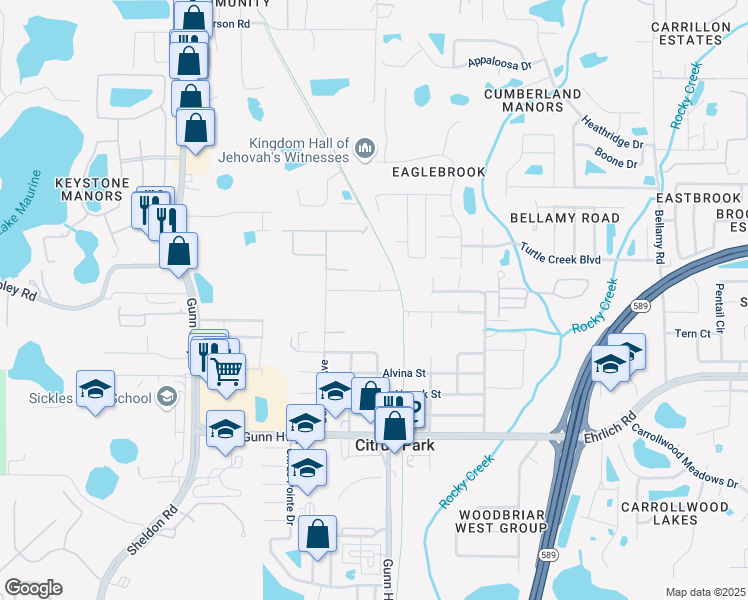 map of restaurants, bars, coffee shops, grocery stores, and more near 15000 Basswood Avenue in Tampa