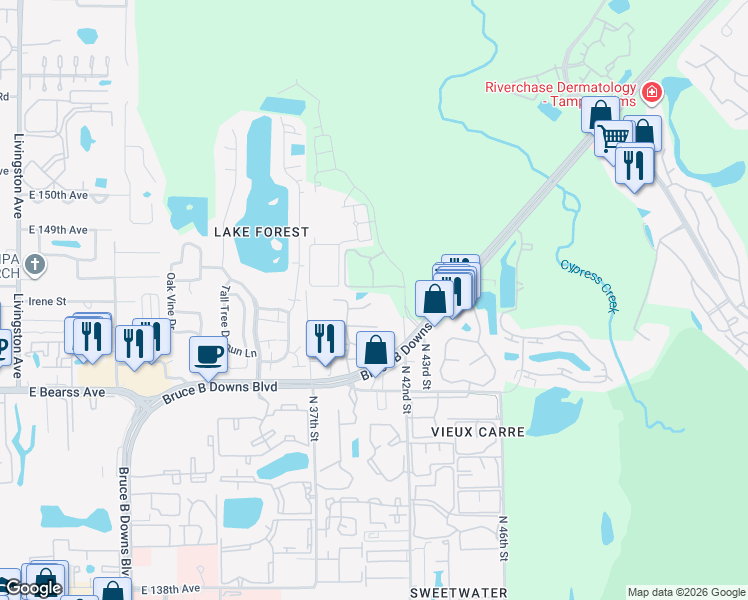 map of restaurants, bars, coffee shops, grocery stores, and more near 4036 Angel Oak Court in Tampa