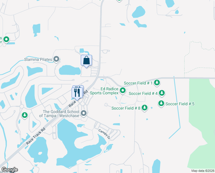 map of restaurants, bars, coffee shops, grocery stores, and more near 11119 Roseate Drive in Tampa