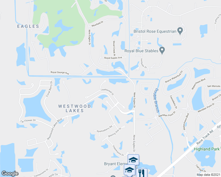 map of restaurants, bars, coffee shops, grocery stores, and more near 12531 Leatherleaf Drive in Tampa