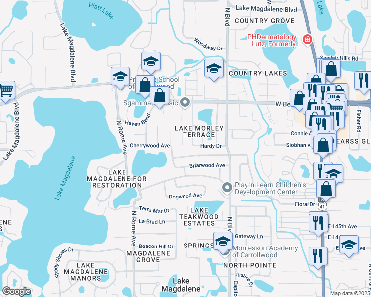 map of restaurants, bars, coffee shops, grocery stores, and more near 14901 Northwood Village Lane in Tampa