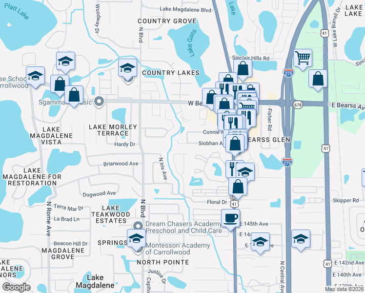 map of restaurants, bars, coffee shops, grocery stores, and more near 504 Siobhan Court in Tampa