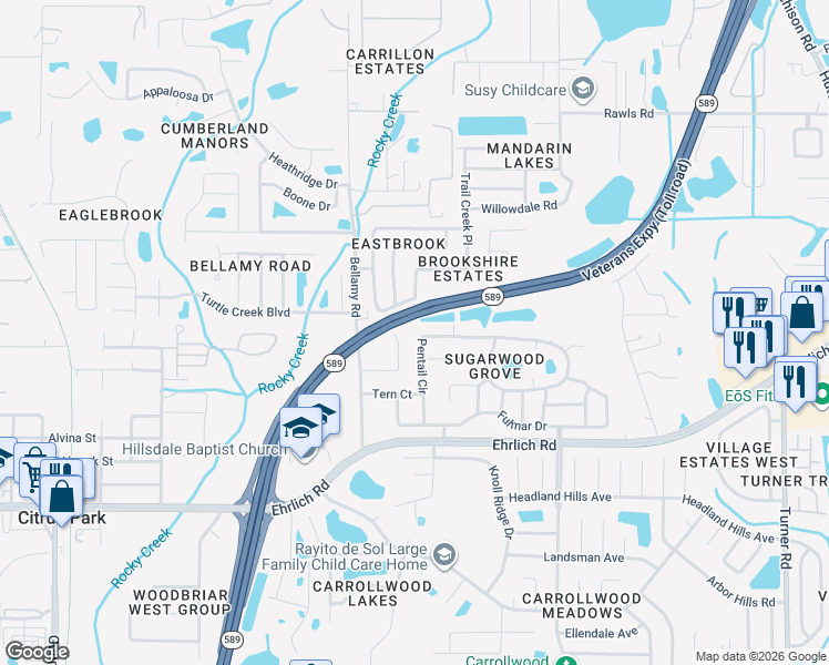 map of restaurants, bars, coffee shops, grocery stores, and more near 5539 Pentail Circle in Tampa
