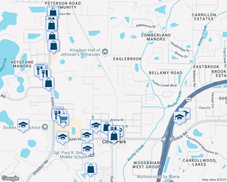 map of restaurants, bars, coffee shops, grocery stores, and more near 15000 Basswood Avenue in Tampa