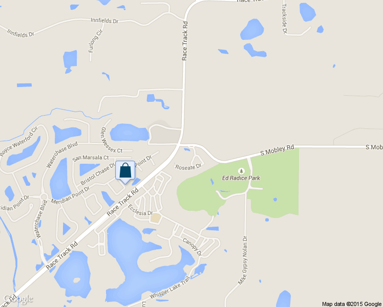 map of restaurants, bars, coffee shops, grocery stores, and more near 11119 Roseate Drive in Tampa