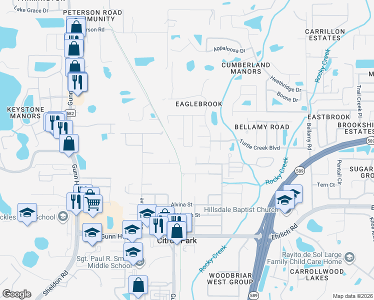map of restaurants, bars, coffee shops, grocery stores, and more near 14902 Basswood Avenue in Tampa