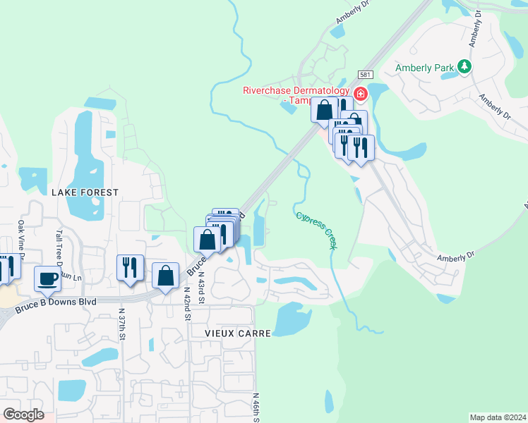 map of restaurants, bars, coffee shops, grocery stores, and more near 15501 Bruce B Downs Boulevard in Tampa