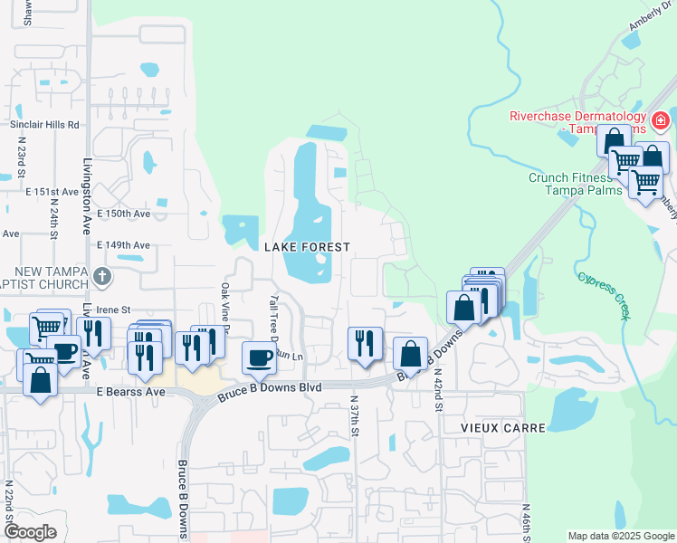map of restaurants, bars, coffee shops, grocery stores, and more near 14902 Morning Drive in Lutz
