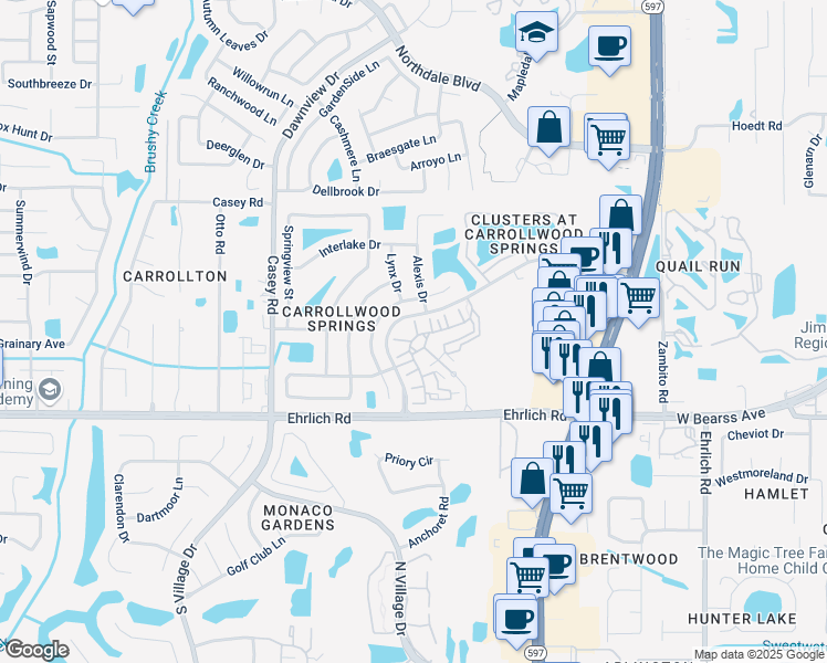 map of restaurants, bars, coffee shops, grocery stores, and more near 4003 Lady Palm Court in Greater Carrollwood