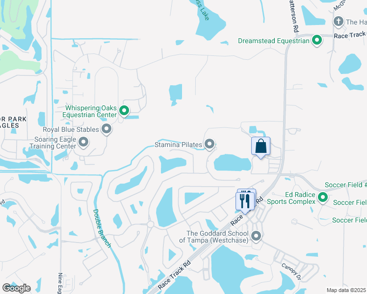 map of restaurants, bars, coffee shops, grocery stores, and more near 11819 Shire Wycliffe Court in Tampa