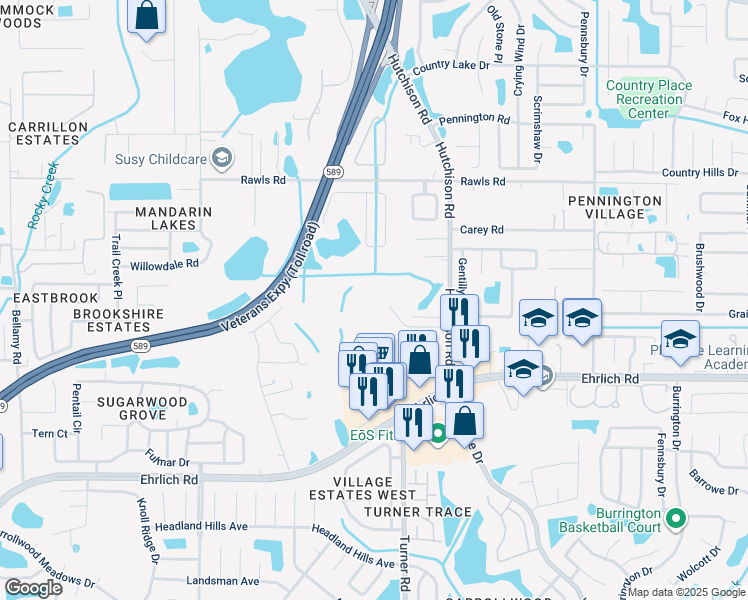 map of restaurants, bars, coffee shops, grocery stores, and more near 15002 Hutchison Road in Tampa