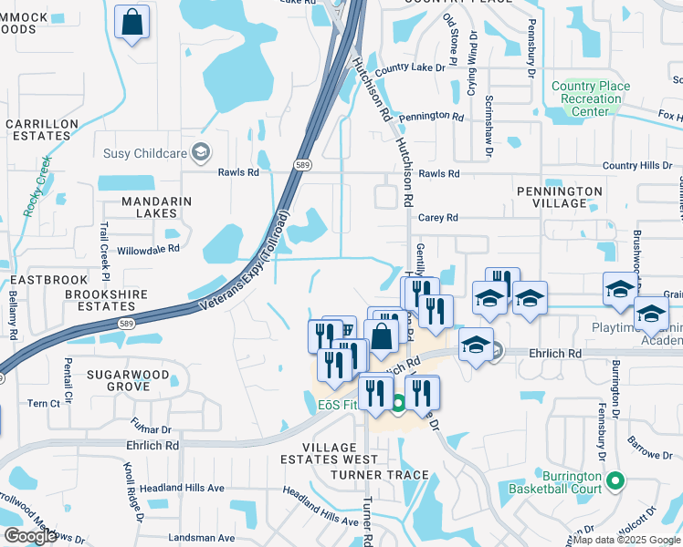 map of restaurants, bars, coffee shops, grocery stores, and more near 15002 Hutchison Road in Tampa