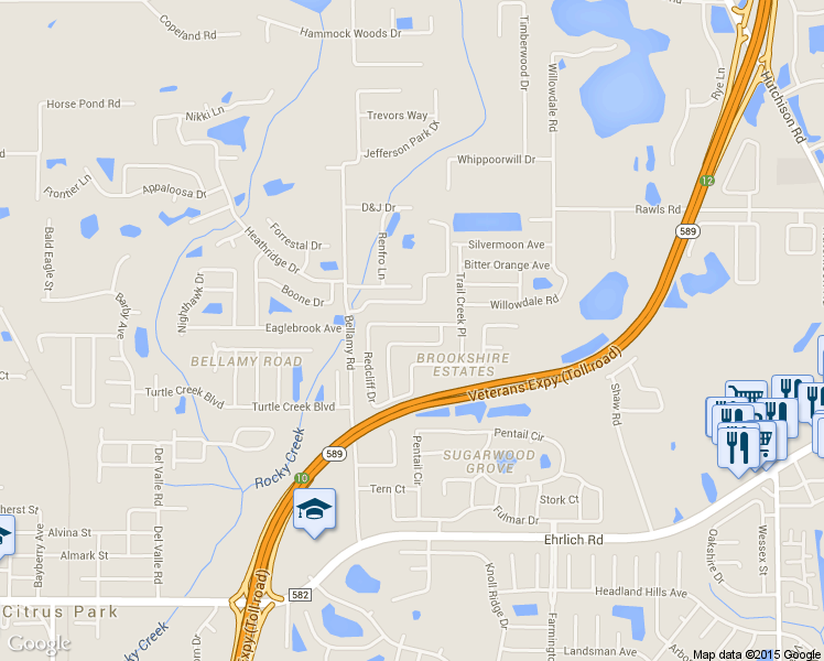 map of restaurants, bars, coffee shops, grocery stores, and more near 15013 Redcliff Drive in Tampa