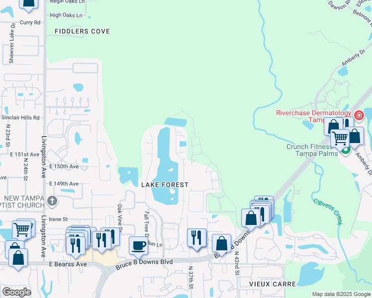 map of restaurants, bars, coffee shops, grocery stores, and more near 15515 Morning Drive in Lutz