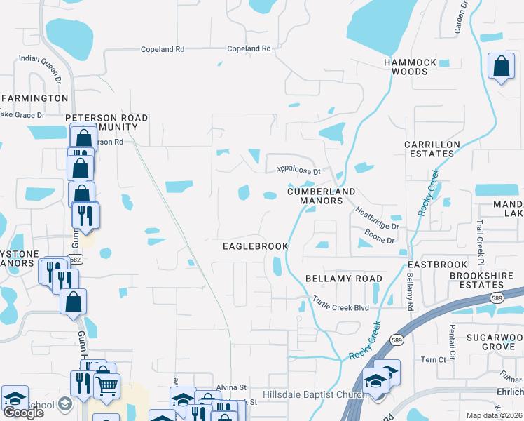 map of restaurants, bars, coffee shops, grocery stores, and more near 15107 Golden Eagle Way in Tampa