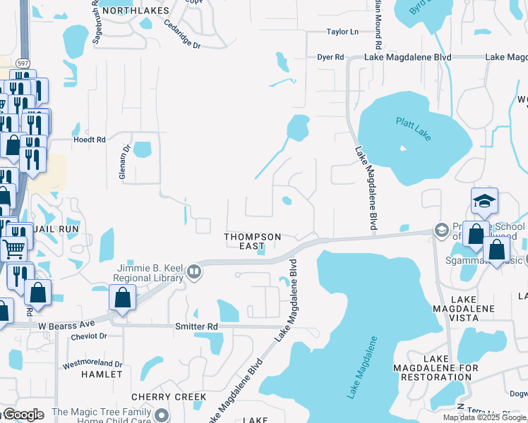 map of restaurants, bars, coffee shops, grocery stores, and more near 2223 Climbing Ivy Drive in Tampa