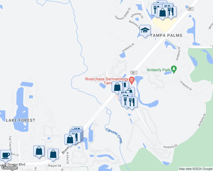 map of restaurants, bars, coffee shops, grocery stores, and more near 4979 Anniston Circle in Tampa
