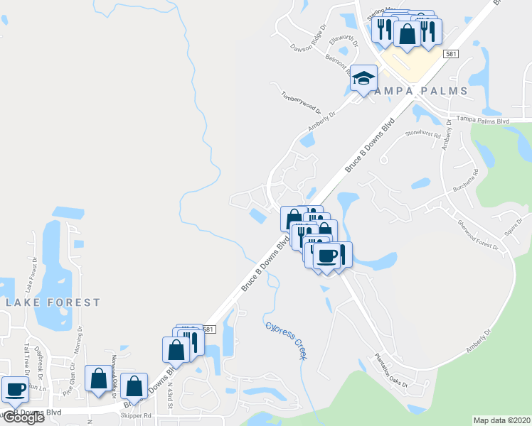 map of restaurants, bars, coffee shops, grocery stores, and more near 4975 Anniston Circle in Tampa