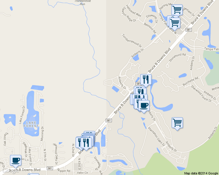 map of restaurants, bars, coffee shops, grocery stores, and more near 4902 Anniston Circle in Tampa