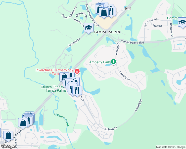 map of restaurants, bars, coffee shops, grocery stores, and more near 5100 Burchette Road in Tampa