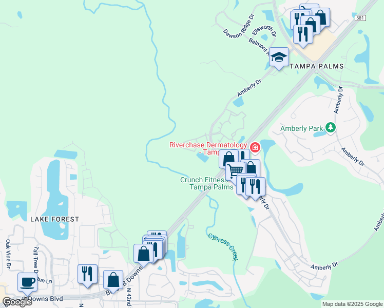map of restaurants, bars, coffee shops, grocery stores, and more near 4902 Anniston Circle in Tampa