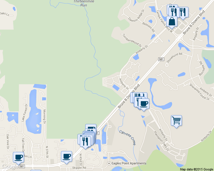 map of restaurants, bars, coffee shops, grocery stores, and more near 4938 Anniston Circle in Tampa