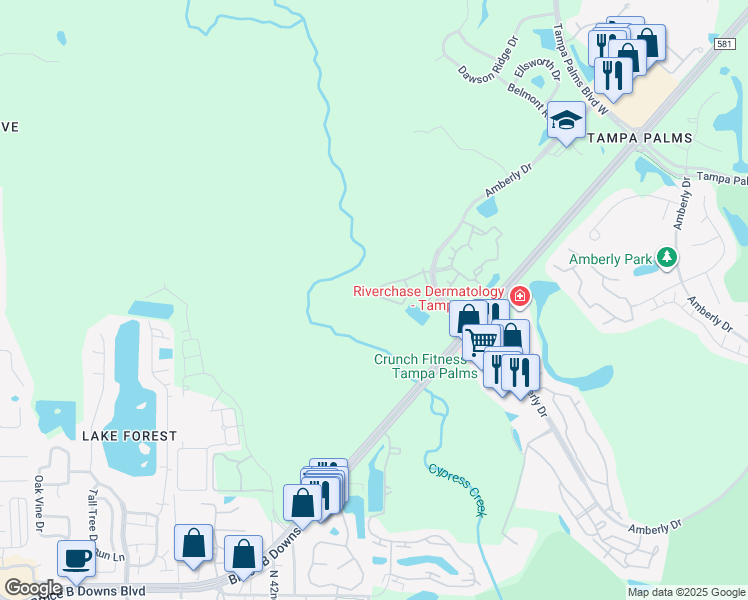 map of restaurants, bars, coffee shops, grocery stores, and more near 4926 Anniston Circle in Tampa