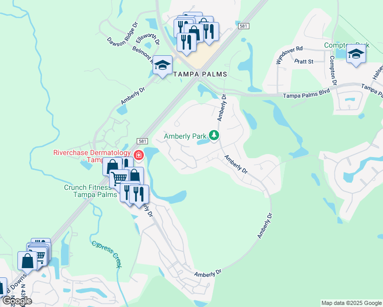 map of restaurants, bars, coffee shops, grocery stores, and more near 5100 Burchette Road in Tampa