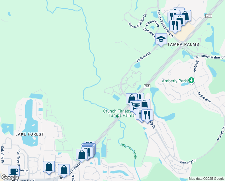 map of restaurants, bars, coffee shops, grocery stores, and more near 4945 Anniston Circle in Tampa