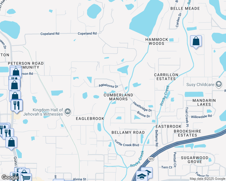 map of restaurants, bars, coffee shops, grocery stores, and more near 6412 Appaloosa Drive in Tampa