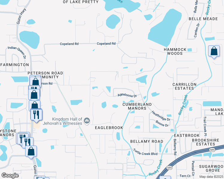 map of restaurants, bars, coffee shops, grocery stores, and more near 6537 Steeplechase Drive in Tampa