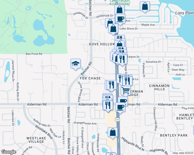 map of restaurants, bars, coffee shops, grocery stores, and more near 3155 Grey Fox Run in Palm Harbor