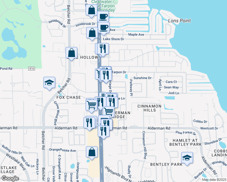 map of restaurants, bars, coffee shops, grocery stores, and more near 3209 Carriage Drive in Palm Harbor