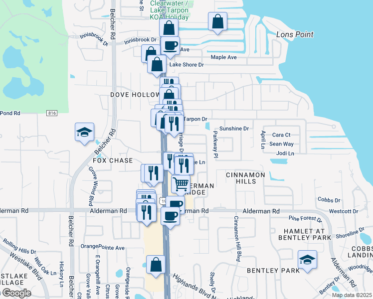 map of restaurants, bars, coffee shops, grocery stores, and more near 3209 Carriage Drive in Palm Harbor