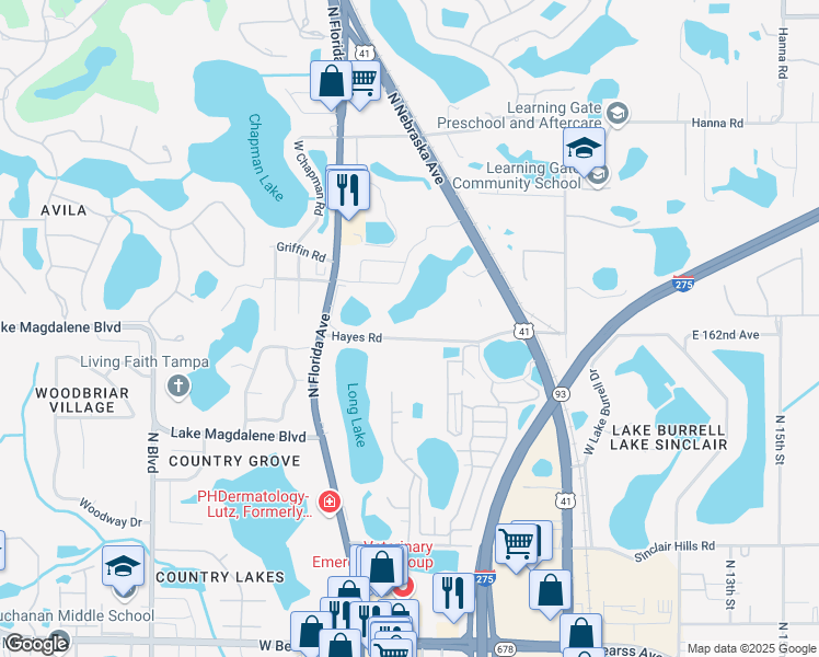 map of restaurants, bars, coffee shops, grocery stores, and more near 410 Hayes Road in Lutz