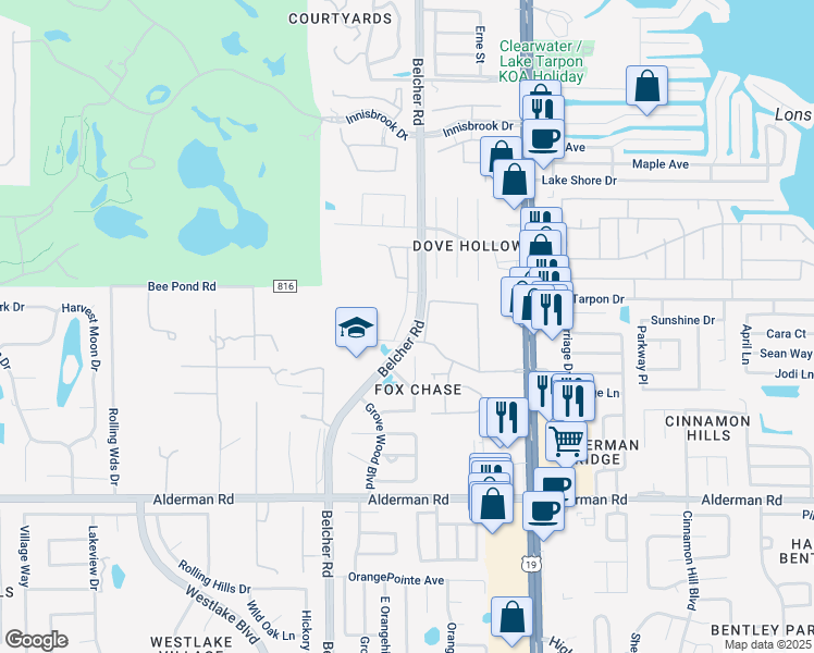 map of restaurants, bars, coffee shops, grocery stores, and more near 3318 Fox Hunt Drive in Palm Harbor