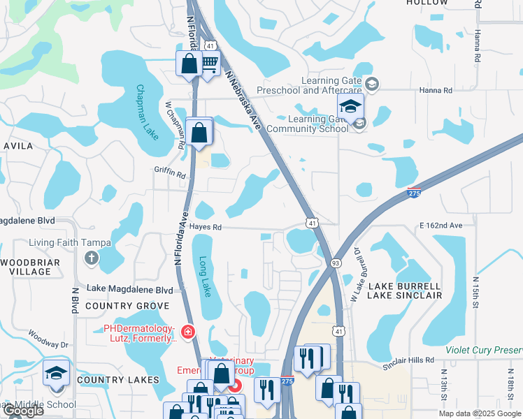 map of restaurants, bars, coffee shops, grocery stores, and more near 610 Hayes Road in Lutz