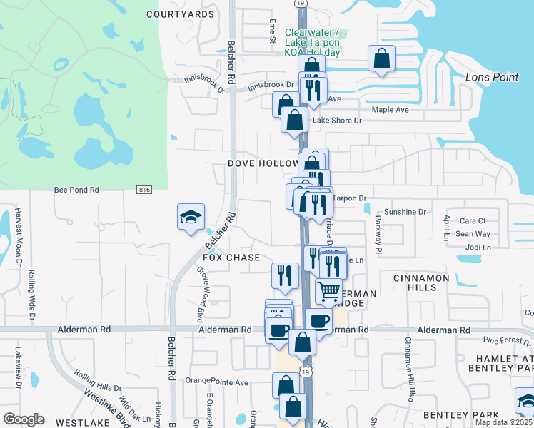 map of restaurants, bars, coffee shops, grocery stores, and more near 203 Fox Chase Circle in Palm Harbor