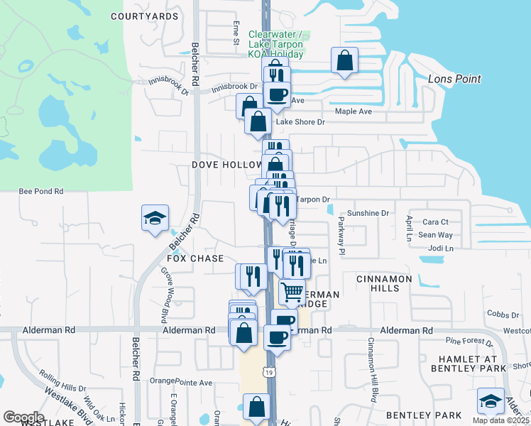 map of restaurants, bars, coffee shops, grocery stores, and more near State Highway 55 in Palm Harbor