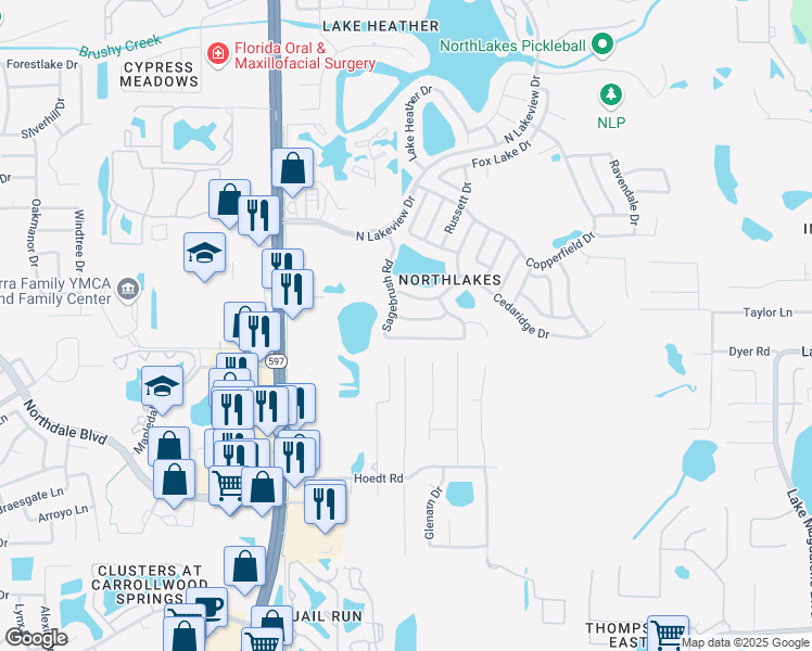 map of restaurants, bars, coffee shops, grocery stores, and more near 3224 Saddlebrook Avenue in Tampa