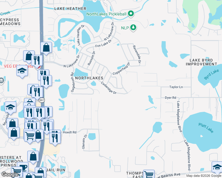 map of restaurants, bars, coffee shops, grocery stores, and more near 2905 Cedaridge Drive in Tampa