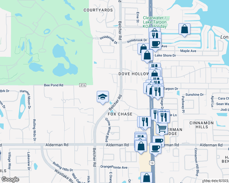 map of restaurants, bars, coffee shops, grocery stores, and more near 3318 Fox Hunt Drive in Palm Harbor